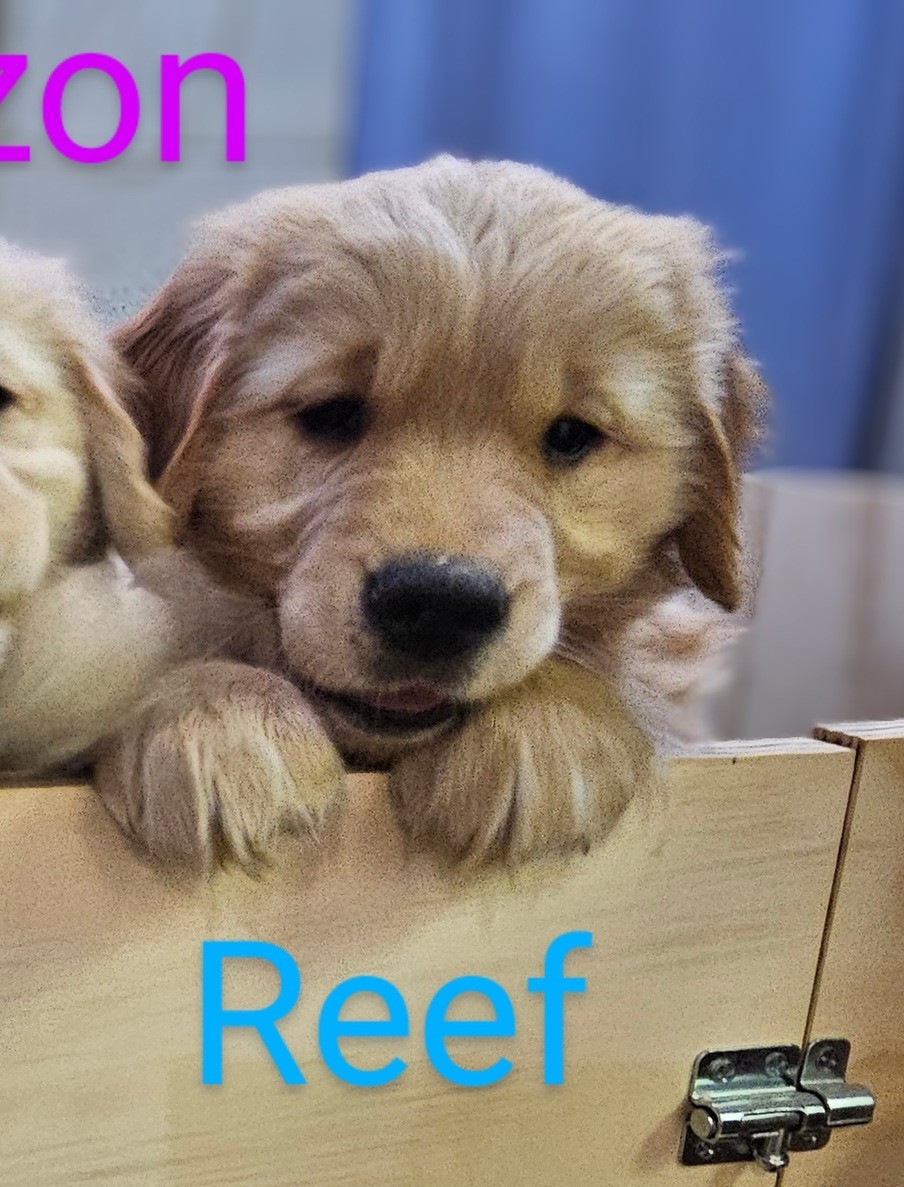 First slide image