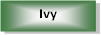 Ivy