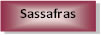 Sassafras