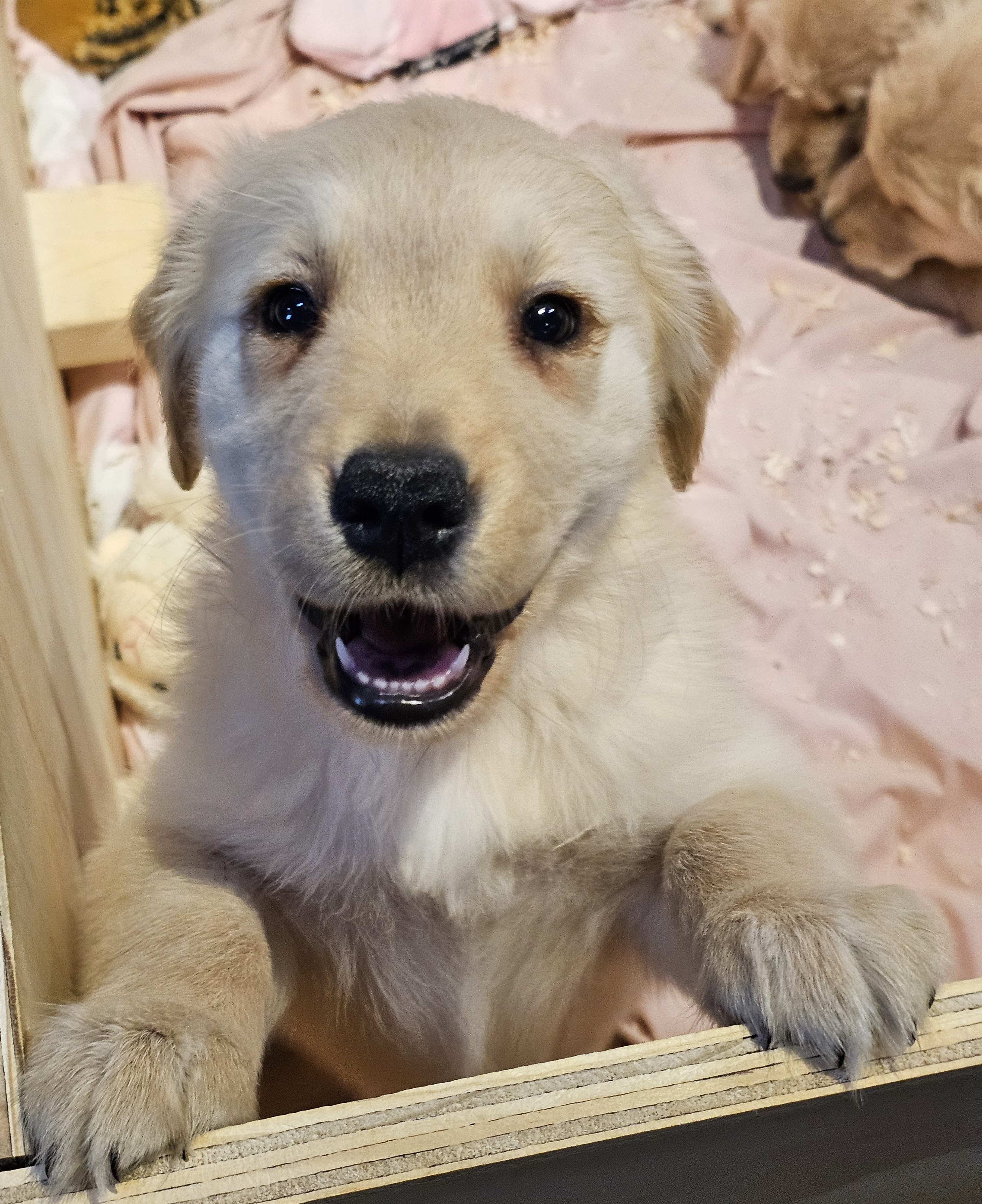 Second slide image